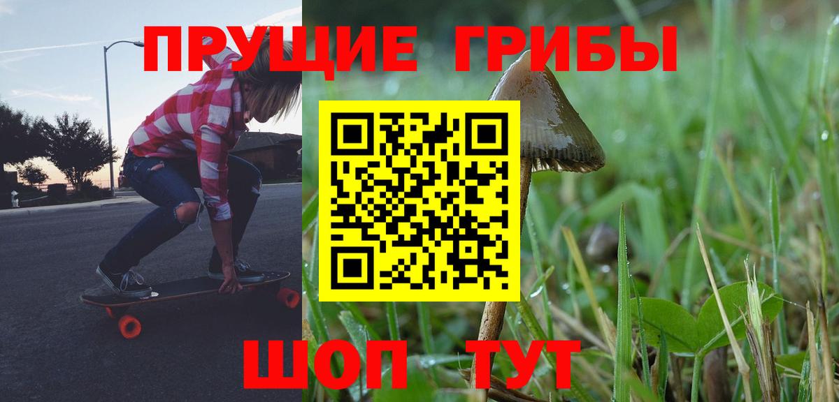 Кызыл  Галлюциногенные грибы прущие грибы  дарнет шоп  Галлюциногенные грибы Cubensis  Вход с VPN 